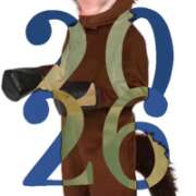 ヒメ日記 2025/12/29 05:34 投稿 さやか 佐賀人妻デリヘル 「デリ夫人」