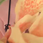 ヒメ日記 2026/01/15 19:22 投稿 さやか 佐賀人妻デリヘル 「デリ夫人」