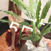 ヒメ日記 2026/02/05 06:08 投稿 さやか 佐賀人妻デリヘル 「デリ夫人」