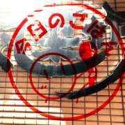 ヒメ日記 2026/03/19 21:11 投稿 さやか 佐賀人妻デリヘル 「デリ夫人」