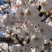 ヒメ日記 2026/04/05 19:22 投稿 さやか 佐賀人妻デリヘル 「デリ夫人」