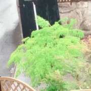 さやか 迷走台風𖦹 佐賀人妻デリヘル 「デリ夫人」