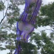 ヒメ日記 2026/09/11 09:12 投稿 さやか 佐賀人妻デリヘル 「デリ夫人」
