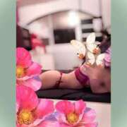 ヒメ日記 2026/02/22 15:46 投稿 みく PRIME