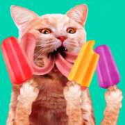 ヒメ日記 2026/04/08 15:34 投稿 みく PRIME