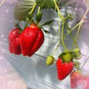 ヒメ日記 2025/02/15 12:01 投稿 新人ヒビキ アロマリラックスリゾート小山店