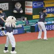 ヒメ日記 2024/12/25 16:53 投稿 とこ 池袋ぱんぷきん（シンデレラグループ）