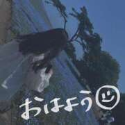 ヒメ日記 2025/01/20 08:45 投稿 とこ 池袋ぱんぷきん（シンデレラグループ）