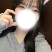 ヒメ日記 2025/04/03 09:30 投稿 とこ 池袋ぱんぷきん（シンデレラグループ）