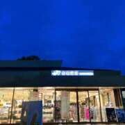 ヒメ日記 2025/05/09 07:26 投稿 とこ 池袋ぱんぷきん（シンデレラグループ）