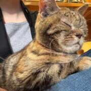 ヒメ日記 2025/05/24 15:31 投稿 キイ AMOUR（アムール）