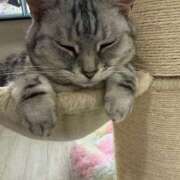 ヒメ日記 2025/07/18 11:42 投稿 キイ AMOUR（アムール）