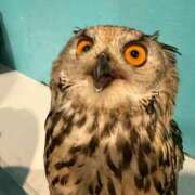 ヒメ日記 2025/10/29 18:12 投稿 キイ AMOUR（アムール）