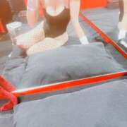 ヒメ日記 2025/04/23 15:36 投稿 スイ バニーコレクション秋田店