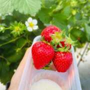 ヒメ日記 2025/05/27 08:12 投稿 スイ バニーコレクション秋田店