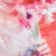 ヒメ日記 2025/05/28 12:33 投稿 スイ バニーコレクション秋田店