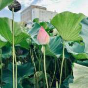 ヒメ日記 2025/09/07 19:36 投稿 スイ バニーコレクション秋田店