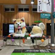 ヒメ日記 2025/09/26 20:27 投稿 スイ バニーコレクション秋田店