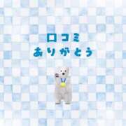 ヒメ日記 2025/11/27 07:27 投稿 スイ バニーコレクション秋田店