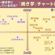 ヒメ日記 2024/02/06 07:44 投稿 じゅんな パンスト熟女はいやらしい 新宿・大久保店