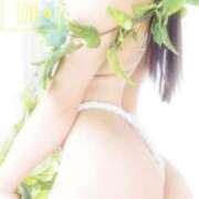 ヒメ日記 2025/11/25 12:31 投稿 真純まこ 熟女デリヘル倶楽部