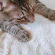 ヒメ日記 2025/09/19 22:14 投稿 るな 池袋おかあさん