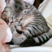 ヒメ日記 2025/09/20 20:34 投稿 るな 池袋おかあさん