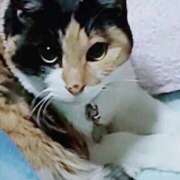 ヒメ日記 2025/09/21 12:44 投稿 るな 池袋おかあさん