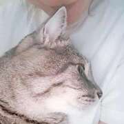 ヒメ日記 2025/09/25 21:54 投稿 るな 池袋おかあさん