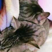 ヒメ日記 2025/09/27 12:44 投稿 るな 池袋おかあさん