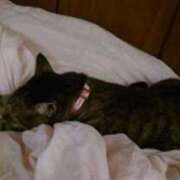 ヒメ日記 2025/10/09 13:24 投稿 るな 池袋おかあさん