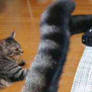 ヒメ日記 2025/10/18 06:44 投稿 るな 池袋おかあさん