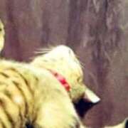 ヒメ日記 2025/10/20 08:59 投稿 るな 池袋おかあさん