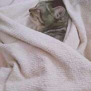 ヒメ日記 2025/10/23 21:44 投稿 るな 池袋おかあさん