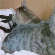 ヒメ日記 2025/10/24 13:24 投稿 るな 池袋おかあさん