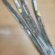 ヒメ日記 2025/10/29 14:54 投稿 るな 池袋おかあさん