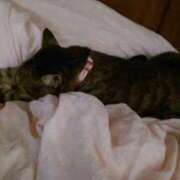 ヒメ日記 2025/11/01 22:24 投稿 るな 池袋おかあさん