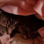 ヒメ日記 2025/11/04 08:37 投稿 るな 池袋おかあさん