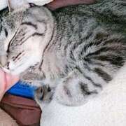 ヒメ日記 2025/11/04 11:39 投稿 るな 池袋おかあさん