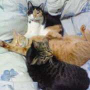 ヒメ日記 2025/11/05 10:44 投稿 るな 池袋おかあさん