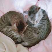 ヒメ日記 2025/11/05 21:54 投稿 るな 池袋おかあさん