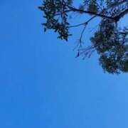 ヒメ日記 2025/11/06 13:50 投稿 るな 池袋おかあさん