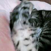 ヒメ日記 2025/11/11 12:24 投稿 るな 池袋おかあさん