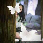 ヒメ日記 2025/05/16 12:45 投稿 ♡あげは♡ アイコレクション女学院