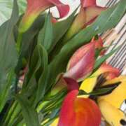 ヒメ日記 2025/04/29 21:50 投稿 るなみ マリアージュ熊谷