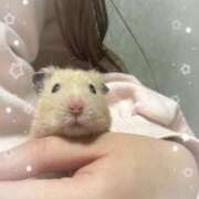 ヒメ日記 2025/05/12 18:40 投稿 るなみ マリアージュ熊谷