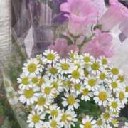 ヒメ日記 2025/06/29 07:20 投稿 るなみ マリアージュ熊谷