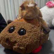 るなみ ‪꒰(•ㅈ•)꒱‬🚗³₃ マリアージュ熊谷