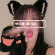 ヒメ日記 2025/04/15 16:56 投稿 なほ 木更津人妻花壇