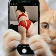 ヒメ日記 2025/12/10 17:53 投稿 池田 和江 こあくまな熟女たち 千葉店（KOAKUMAグループ）